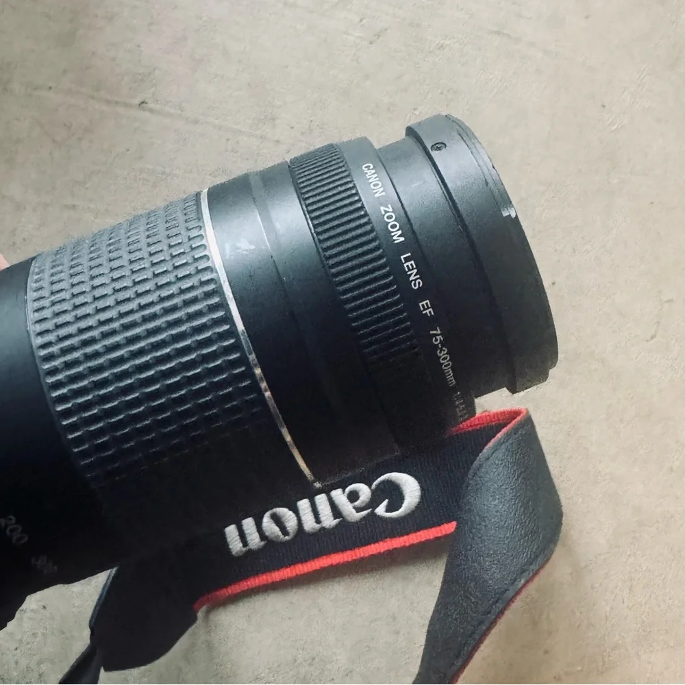 Canon EOS 70D DSLR Camera Body and 75-300 mm lens